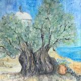Olive Trees - in Greece - SOLD