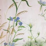 Florida Wildflowers 2 Dayflower, Sea Purslane, Piedmont Leather root, Hand Fern