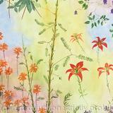 Florida Wildflowers 3 Red Buckeye, Netleaf Leather-flower, Pine Lilly, Entire Leaf Indian Paintbrush, Wild Bamboo