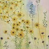 Florida Wildflowers 4 Swamp Sunflowers, Britton's Beargrass, Celestial Lilly