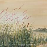 Lost in the Everglades 3 Reeds 