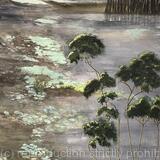 Florida Wildflowers 8 Lilies SOLD