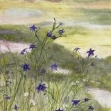 Florida Wildflowers 9 Celestial Lilly