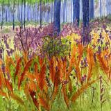 Lost in the Everglades 5 Flatwoods color- SOLD