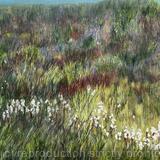 Lost in the Everglades 4 Prairie Grass - SOLD