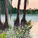 Lost in the Everglades 6 Morning Mist