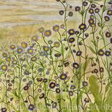 Florida Wildflowers 13 Oakleaf Fleabane