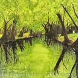 Lost in the Everglades 9 Swannee River - SOLD