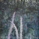 Florida Wildflowers 14 Liatris Gracilis - SOLD