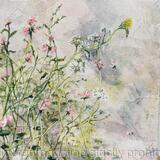 Swamp Rosemallow - SOLD