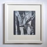 Black and White Tulips