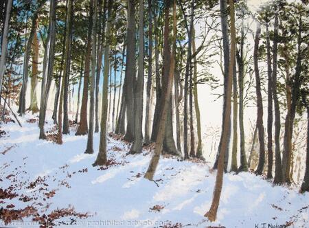 Winter Light In Torsonce Woods