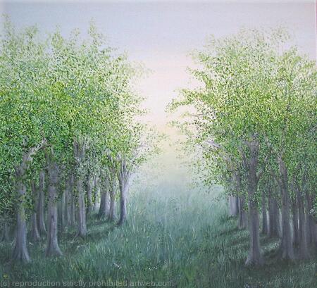 Summer Evening Light