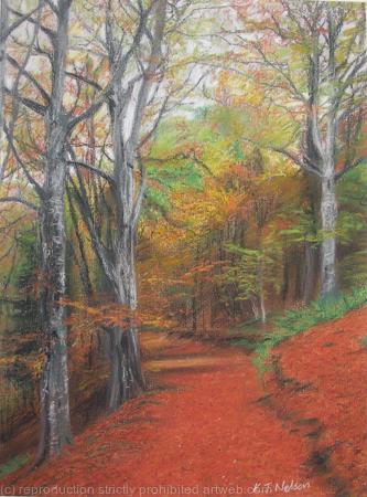 Autumn Colours, Torsonce Card