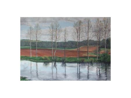 Poplars On The Tweed A4 print