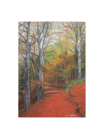 Autumn Colours, Torsonce A4 print