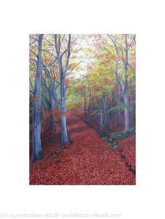 Walk In The Woods A4 print