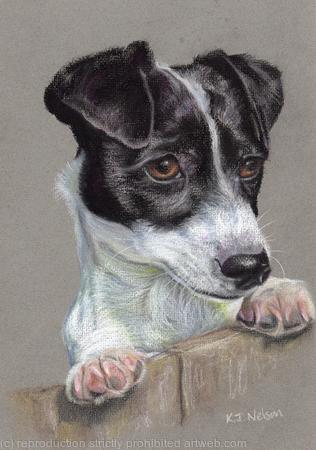 Jack Russell (Debo)