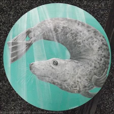 Grey Seal