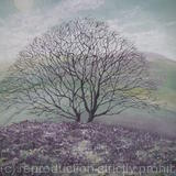 Escape, To The Borders Hills Card