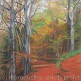 Autumn Colours, Torsonce Card
