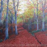 Walk In The Woods Card