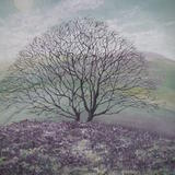 Escape, To The Borders Hills