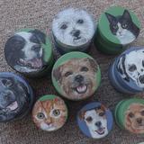 Miniature pet portraits on boxes