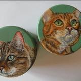 Cat portraits, miniatures on boxes