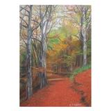 Autumn Colours, Torsonce A4 print