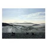 Above Morning Mist, Lauder Common A4 print