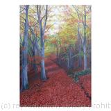 Walk In The Woods A4 print