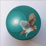 Flying Owl Box, medium