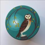 Night owl Box, medium