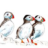 Two's Company...... A4 Print