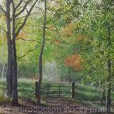 A Place To Be A4 Print