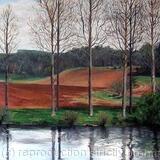 Poplars on the Tweed Card (wee)