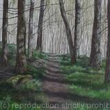 The Well Trodden Path