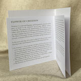 Flower of Creation - card with insert