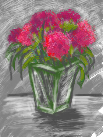 Sweet Williams in square vase