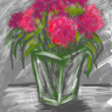 Sweet Williams in square vase