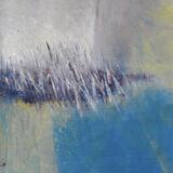 In the bluebell wood