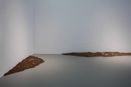 Another 10kg of Garden, And Another 15kg of Garden (We know this is A.)