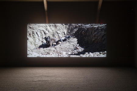 Our Dead Dogs (Three Farewells)