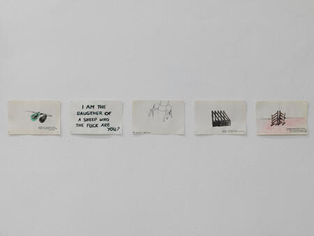 A Love Letter To The Horse I Killed