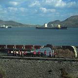 Requiem to a shipwreck