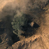 This Thin Crust of Earth