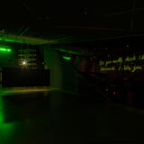 Do you really think I lick you because I like you?