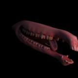 I Betrayed Your Mouth Endlessly 