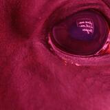 The Space Between Your Tongue and Teeth